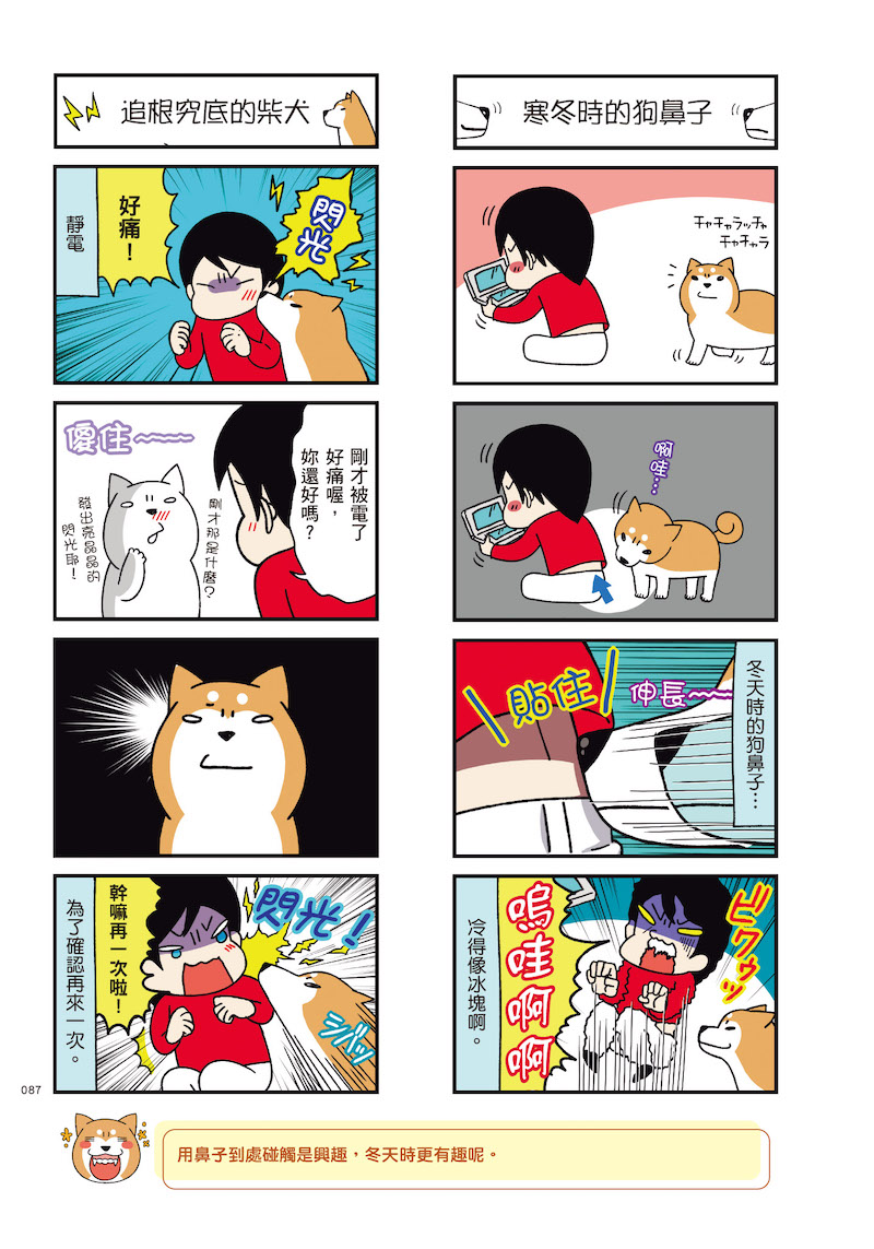 日本超人氣跩犬漫畫中文化啦！小眼睛柴犬妹妹的呆萌日常療癒百萬網友的心 | 柴犬、毛小孩、狗奴、寵物、漫畫 | 妞書房 | 妞新聞 niusnews