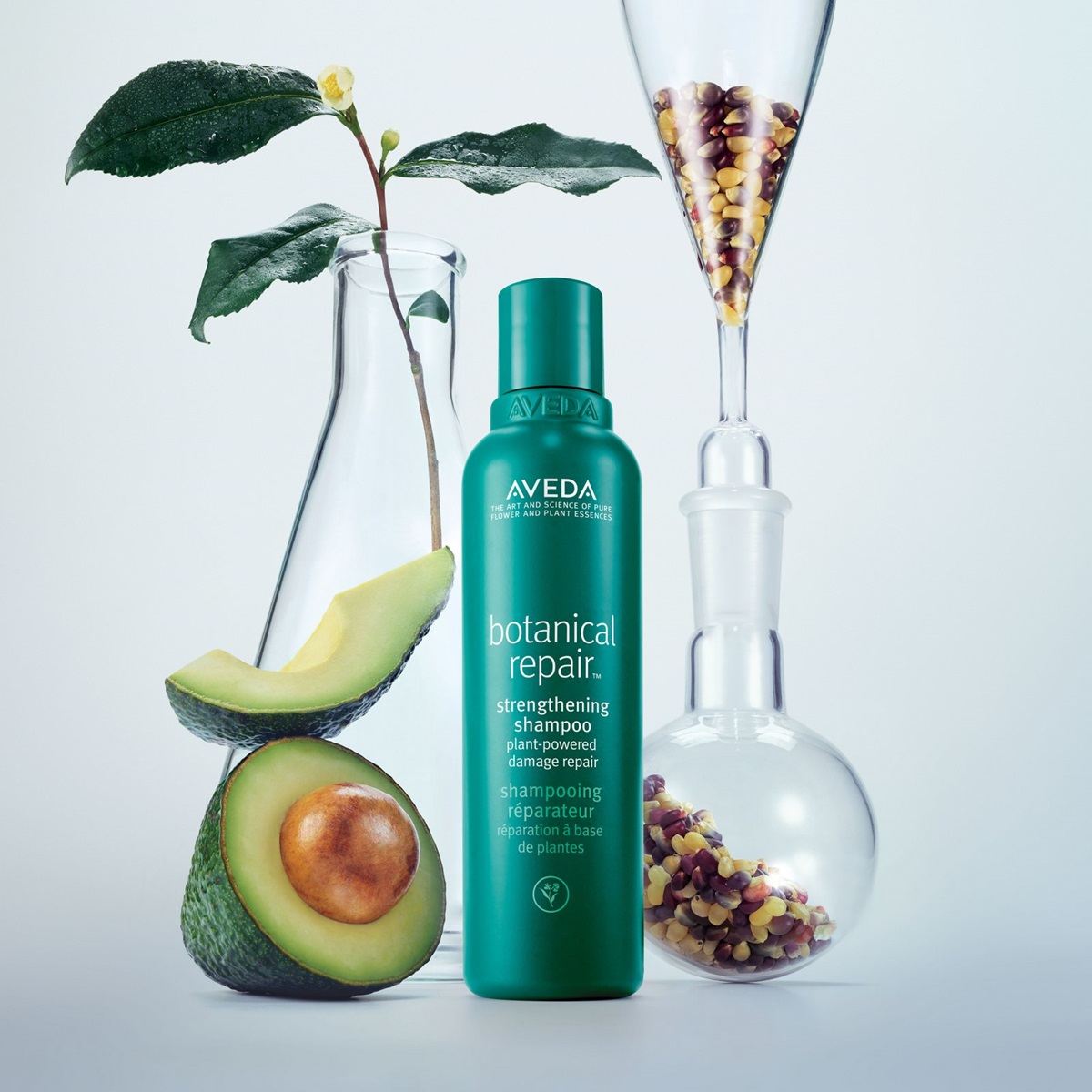 Aveda Botanical Repair 花植結構系列 植物重鍵科技從核心鞏固強韌髮絲 Aveda Botanical Repair 花植結構 髮品 重鍵科技 品牌新聞 妞新聞