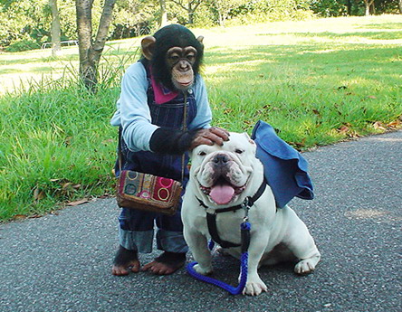 伴我们长大的小庞变超级奶爸啦!