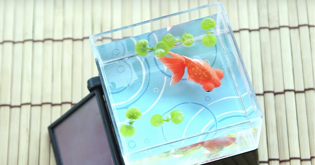不用餵飼料的 佛系養魚 日本推出擬真金魚讓你可以養到世界末日 佛系 養魚 玩具 可愛 日本 生活發現 妞新聞niusnews