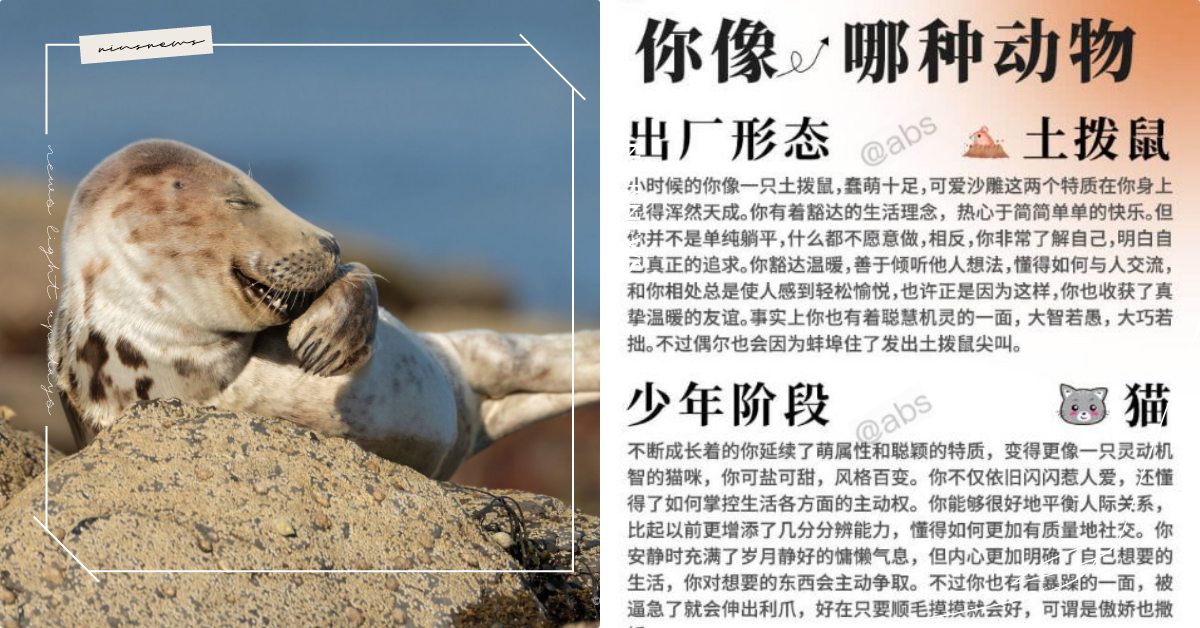 心理測驗 你像哪種動物 瘋傳 1分鐘測出不同階段人生目標 連出廠型態都準的嚇人 寵物圈圈 寵物吃喝玩樂 動物 心理測驗 動物心理測驗 寵物圈圈 妞新聞niusnews