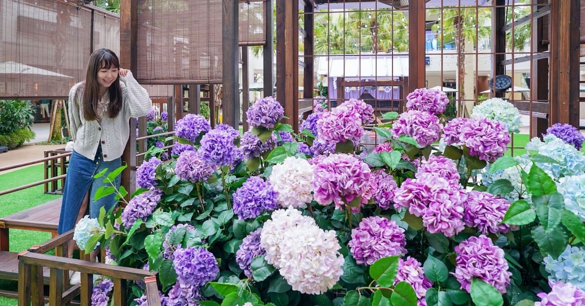 一秒飛日本繡球花神社 林口三井outlet 繡球花物語 部落客頻道 妞新聞niusnews 一秒飛日本繡球花神社 林口三井outlet 繡球花物語 部落客頻道 妞新聞niusnews