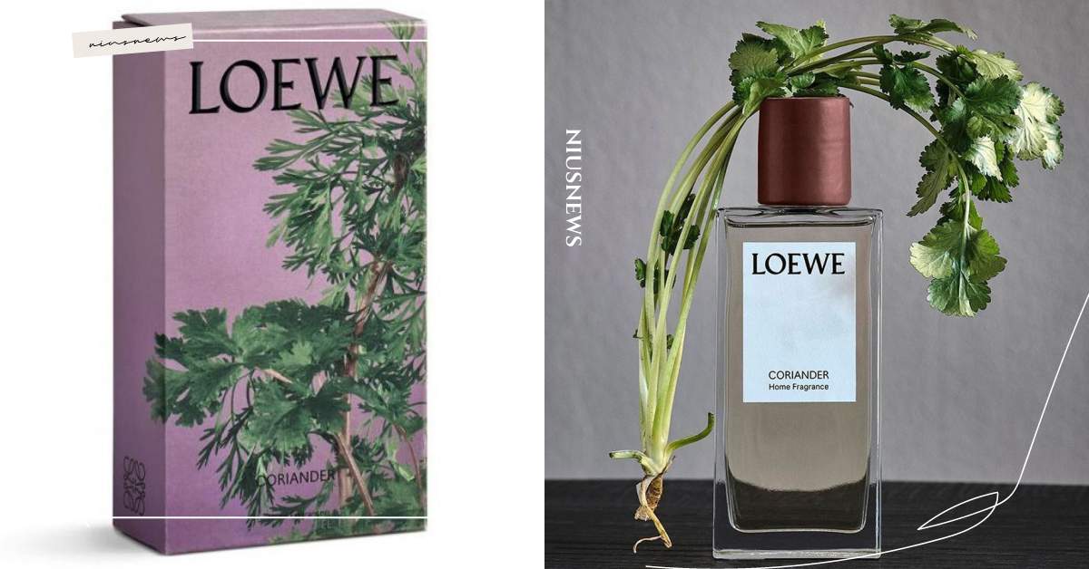 這味道你敢挑戰嗎 Loewe推出 香菜香水 引熱議 還有大麻蠟燭超有梗 香菜香水 Loewe 香菜 香水 Loewe Home Scents 美人計 妞新聞niusnews